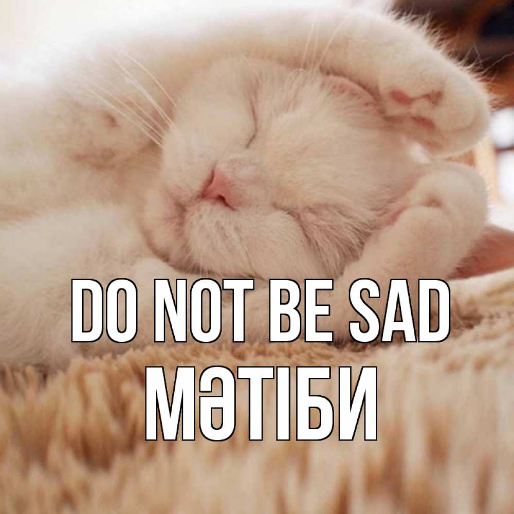 Greetings card с именем, МӘТІБИ Do not be sad белый кот Greetings with text for free download 