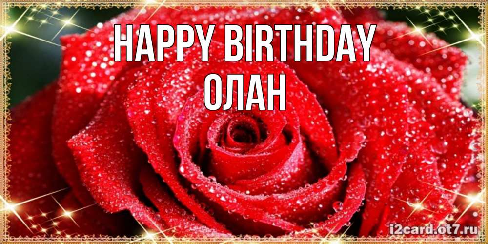 Greetings card с именем, Олан Happy Birthday роса и роза. открытка с красивой розой Greetings with text for free download 