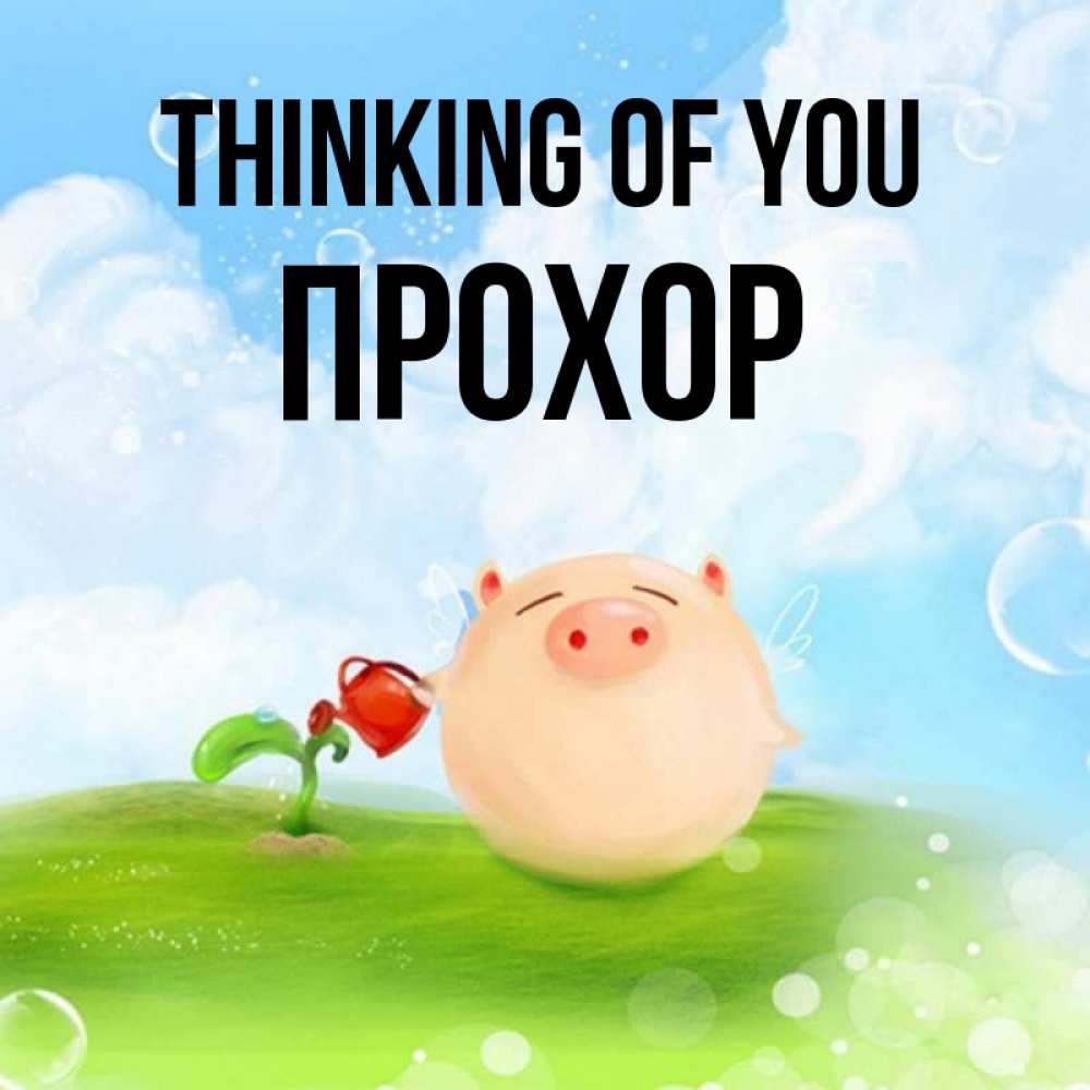 Greetings card с именем, Прохор Thinking of you позитивная свинюшка Greetings with text for free download 