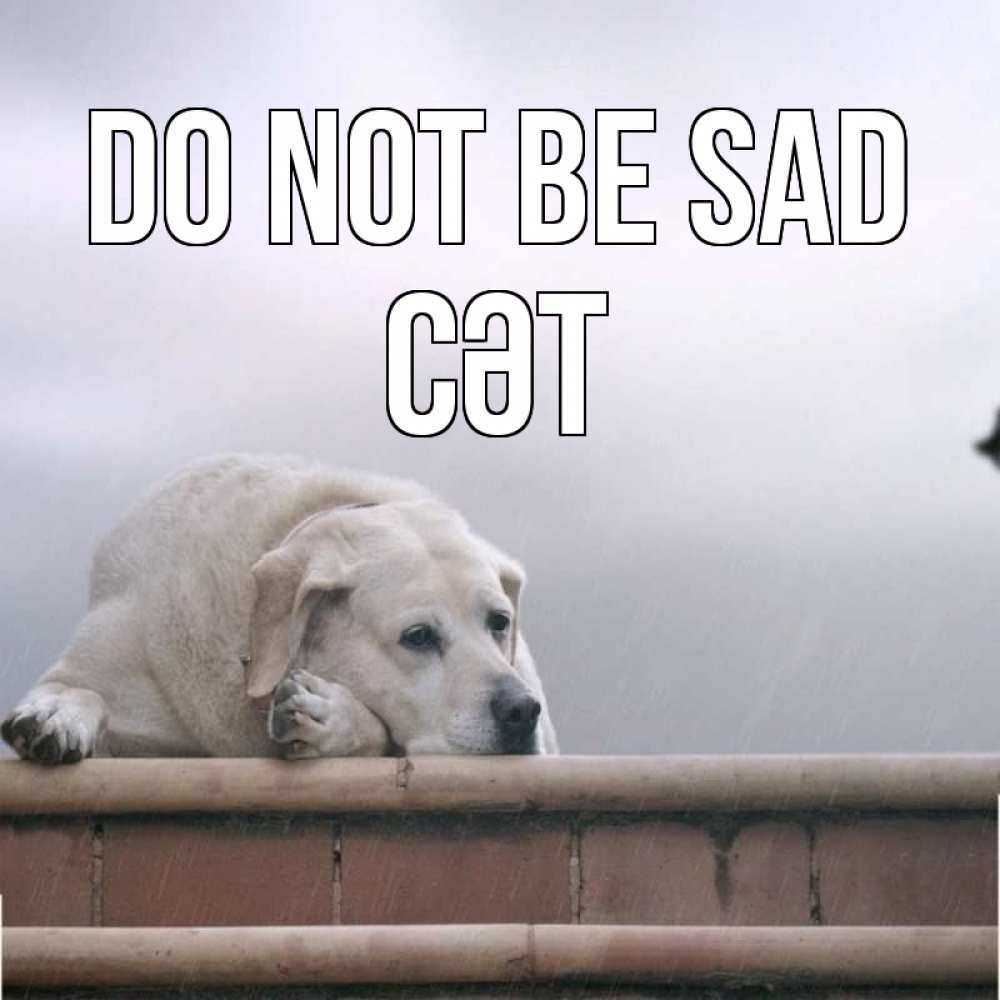 Greetings card с именем, СӘТ Do not be sad белый пес 1 Greetings with text for free download 