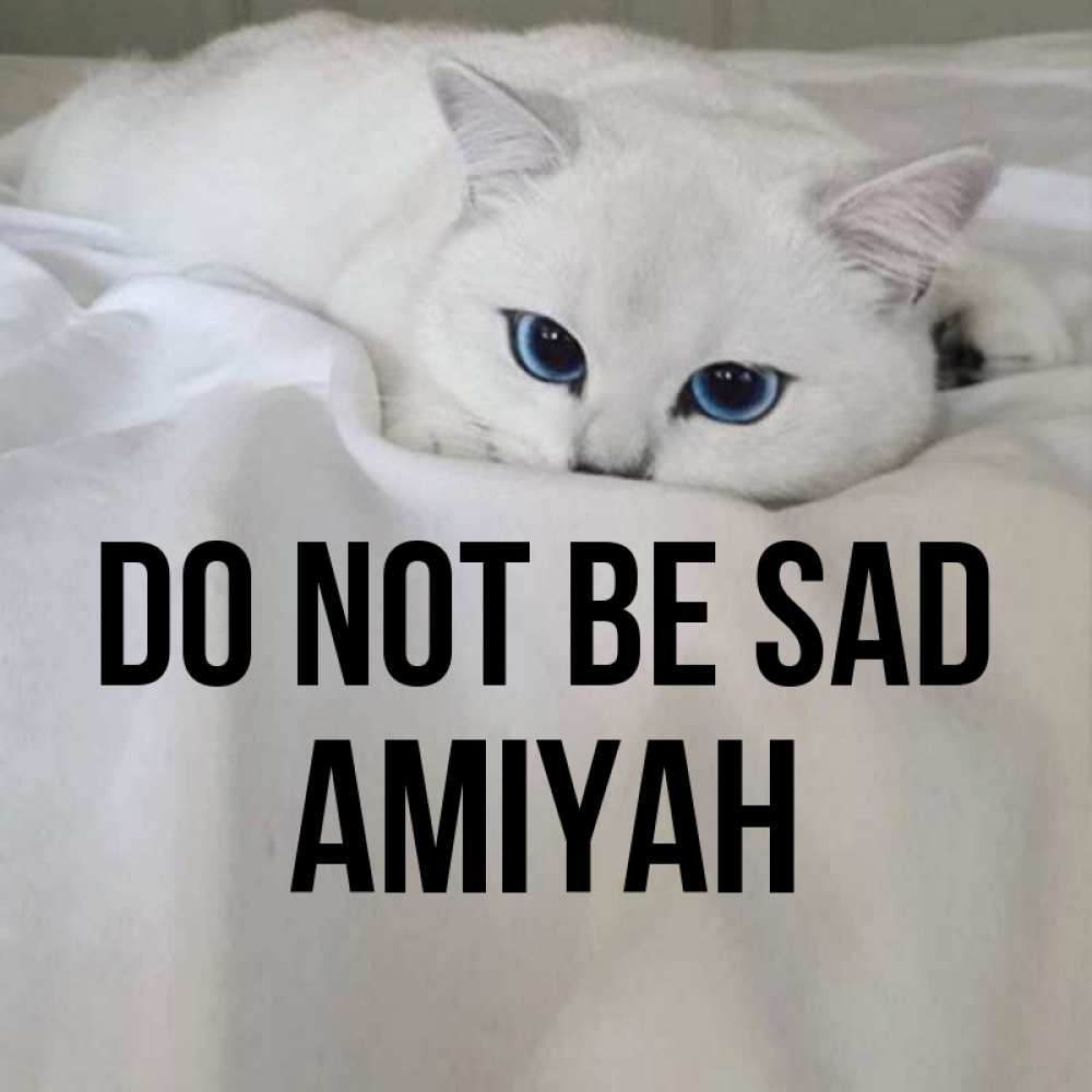 Greetings card с именем, Amiyah Do not be sad Голубоглазая кошка Greetings with text for free download 