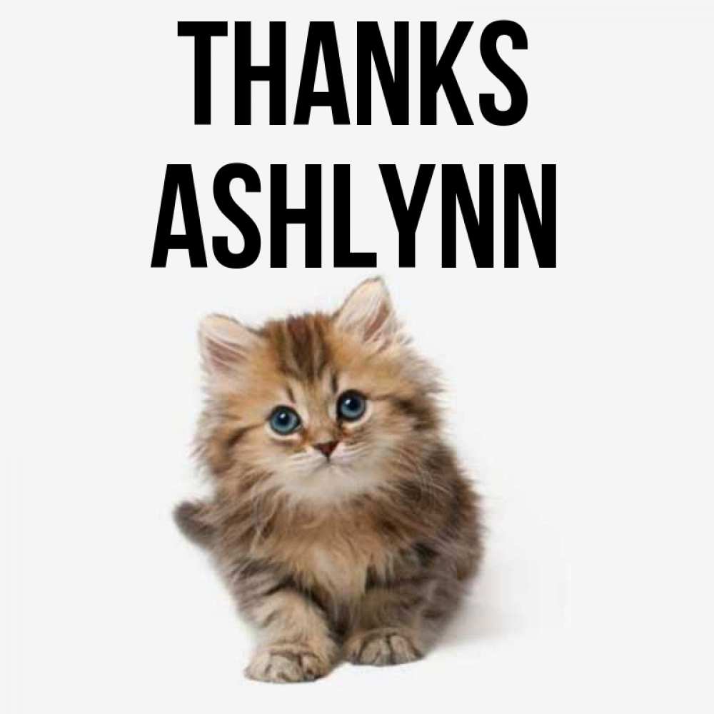 Greetings card с именем, Ashlynn Thanks пушистый котик Greetings with text for free download 