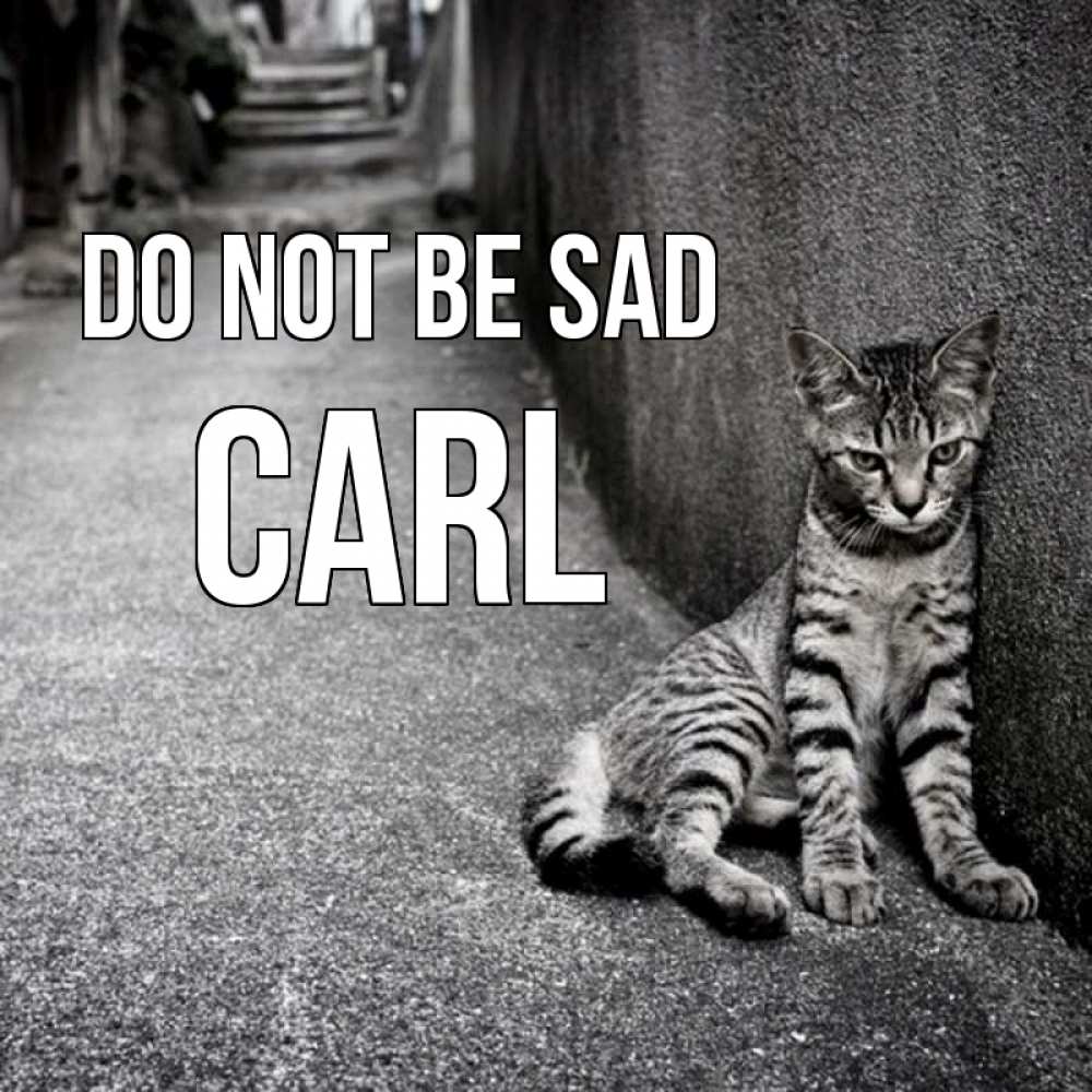 Greetings card с именем, Carl Do not be sad скучающий котик Greetings with text for free download 
