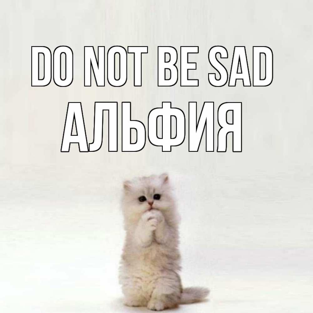 Greetings card с именем, Альфия Do not be sad грустный кот Greetings with text for free download 
