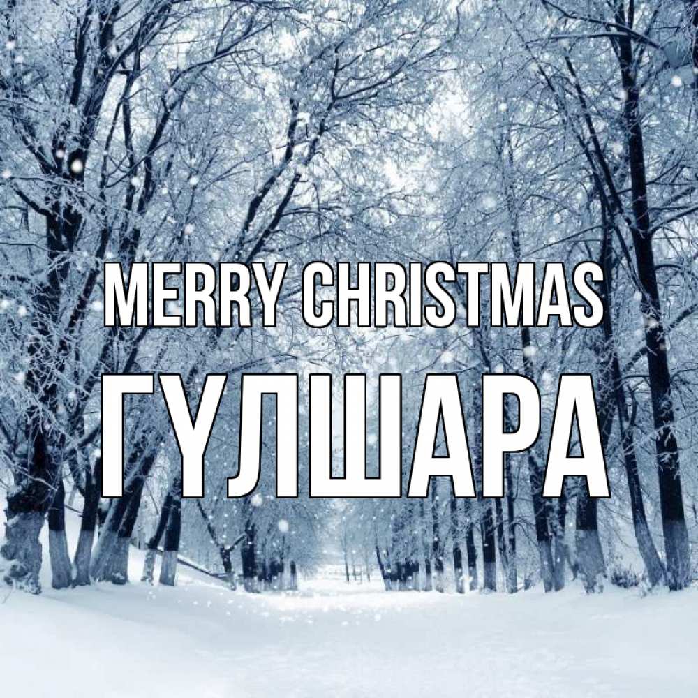Greetings card с именем, ГҮЛШАРА Merry Christmas снег, лес, парк Greetings with text for free download 