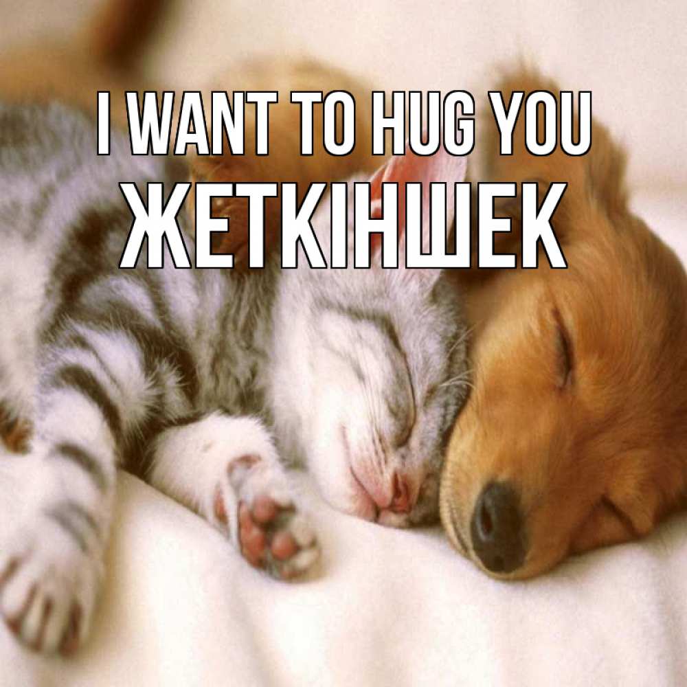 Greetings card с именем, Жеткіншек I want to hug you пес и котенок Greetings with text for free download 
