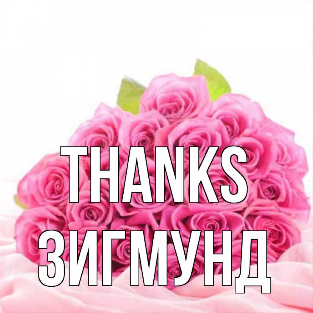 Greetings card с именем, Зигмунд Thanks розовые розы с подписью Greetings with text for free download 