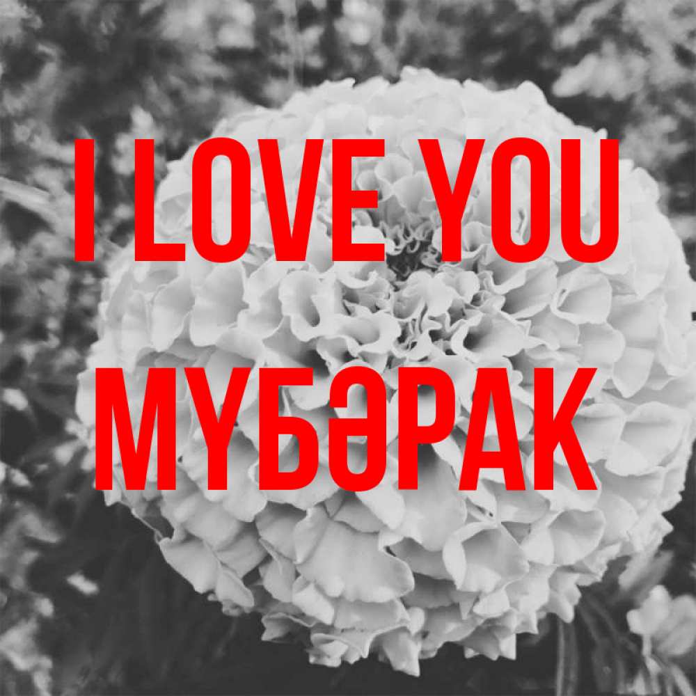 Greetings card с именем, МҮБӘРАК I love you подпись Greetings with text for free download 