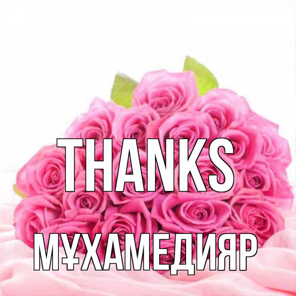 Greetings card с именем, МҰХАМЕДИЯР Thanks розовые розы с подписью Greetings with text for free download 