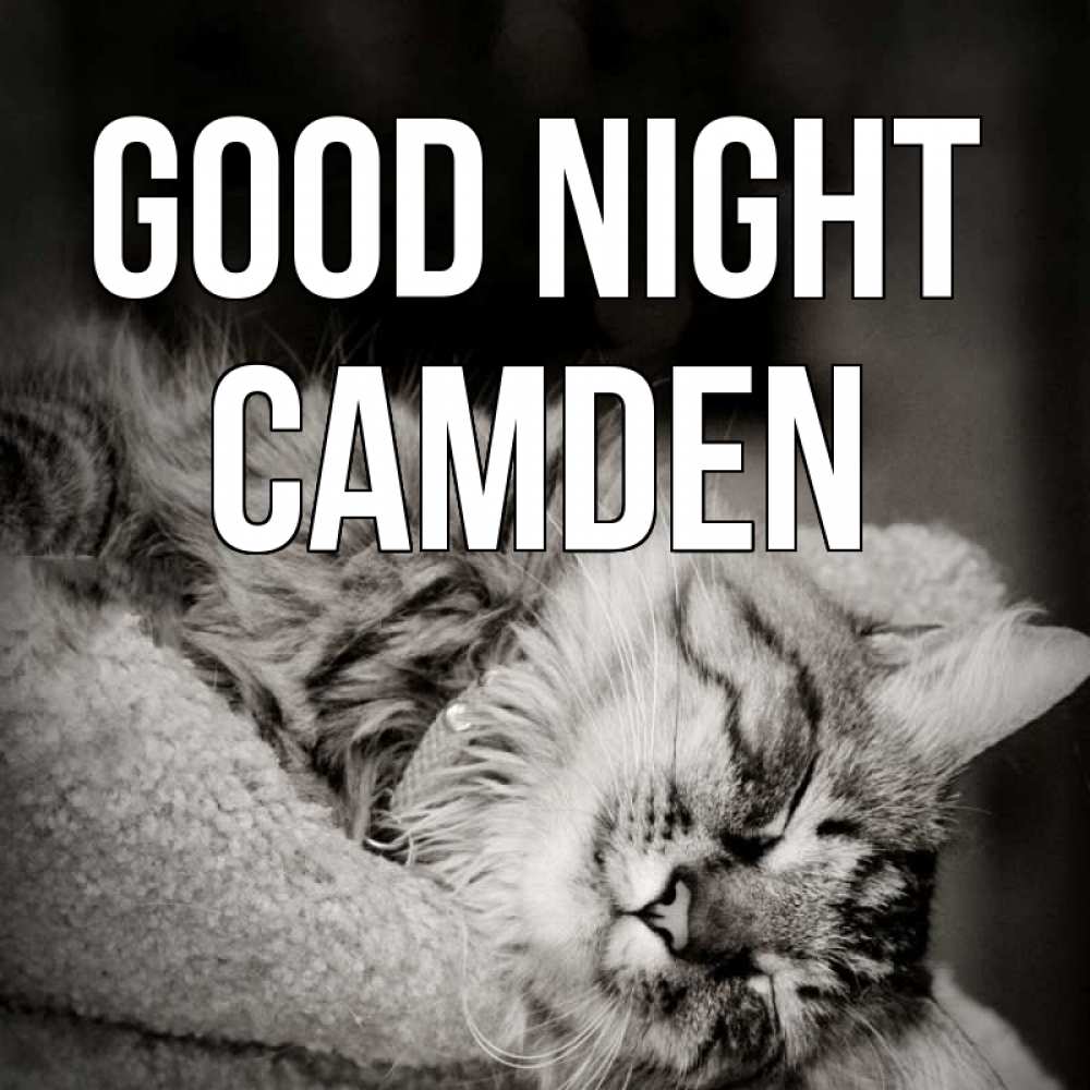 Greetings card с именем, Camden Good night котярик пушистый Greetings with text for free download 