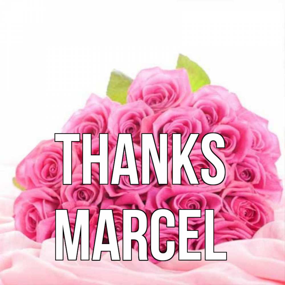 Greetings card с именем, Marcel Thanks розовые розы с подписью Greetings with text for free download 