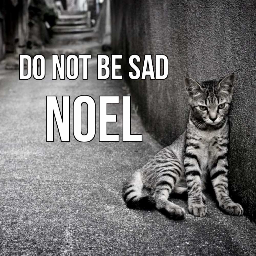Greetings card с именем, Noel Do not be sad скучающий котик Greetings with text for free download 