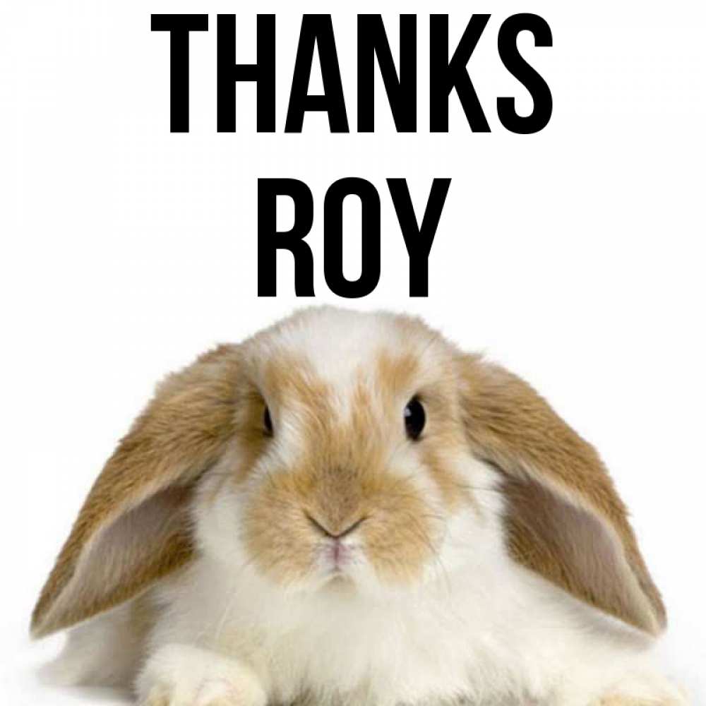 Greetings card с именем, Roy Thanks коричнево белый заяц Greetings with text for free download 