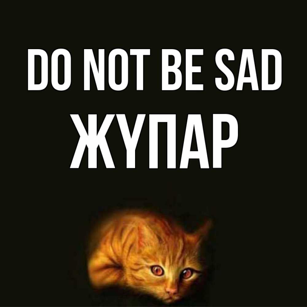 Greetings card с именем, ЖҮПАР Do not be sad лежащий кот в темноте Greetings with text for free download 
