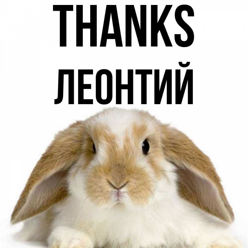 Greetings card с именем, Леонтий Thanks коричнево белый заяц Greetings with text for free download 
