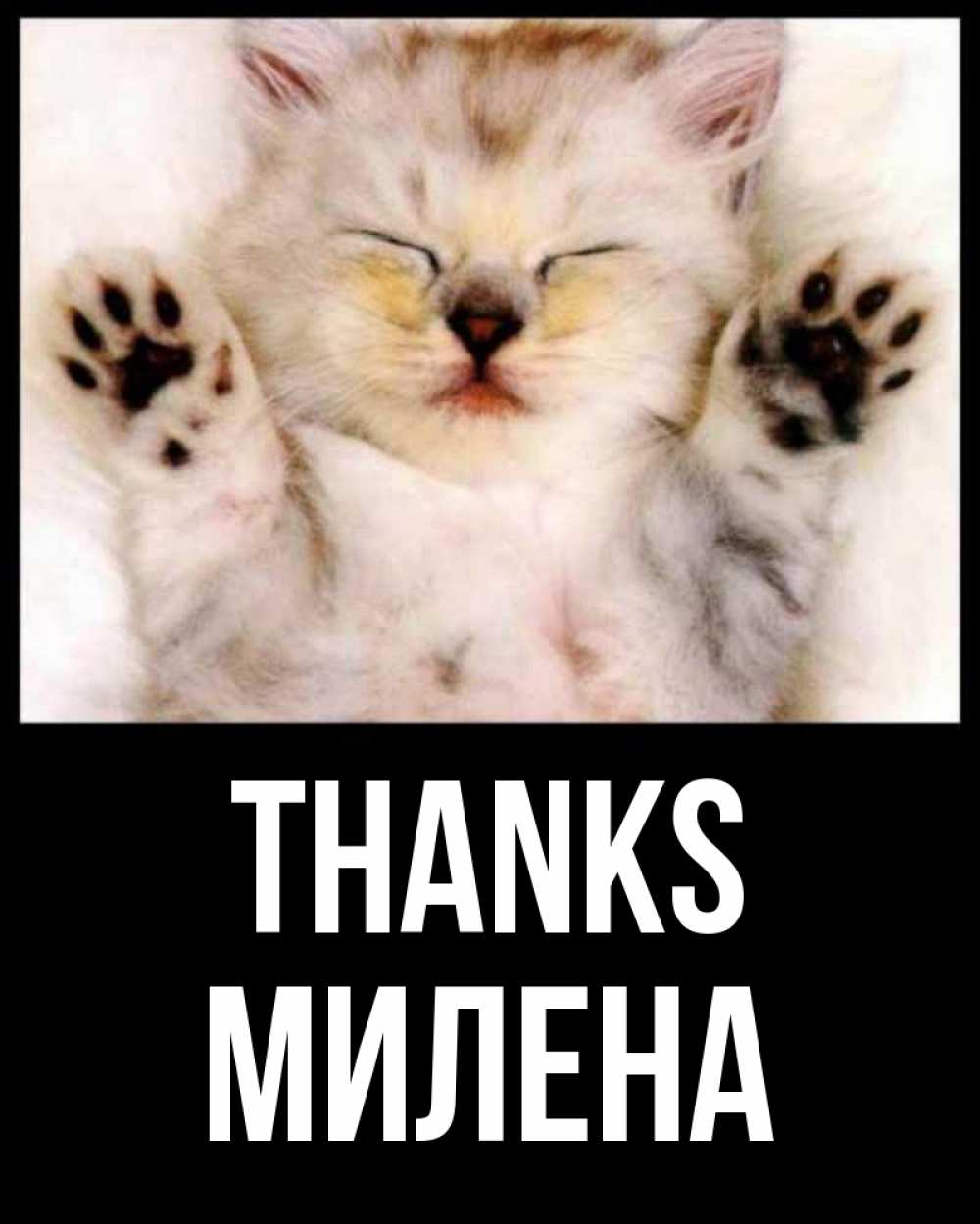 Greetings card с именем, Милена Thanks маленький котенок Greetings with text for free download 