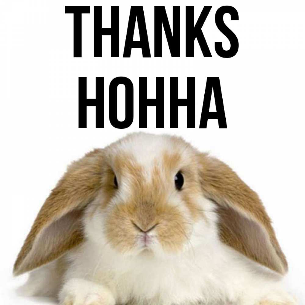 Greetings card с именем, Нонна Thanks коричнево белый заяц Greetings with text for free download 