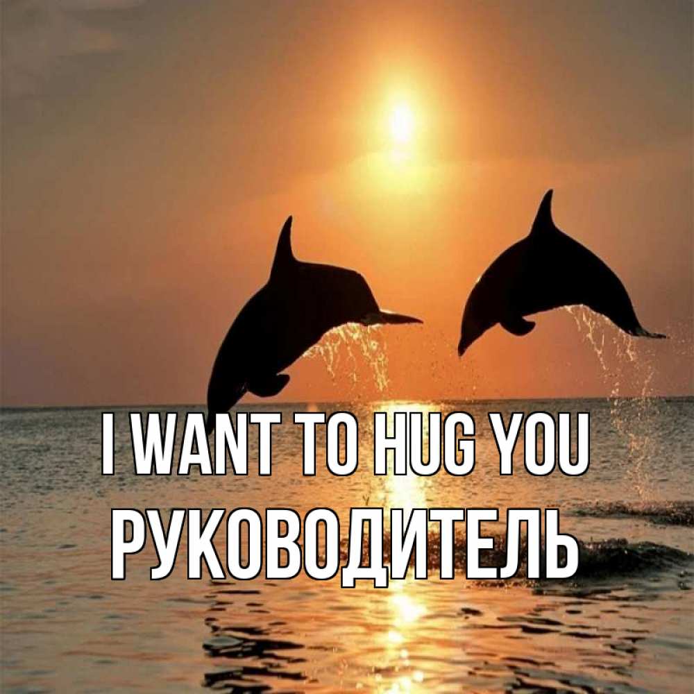 Greetings card с именем, Руководитель I want to hug you рыбы на закате Greetings with text for free download 