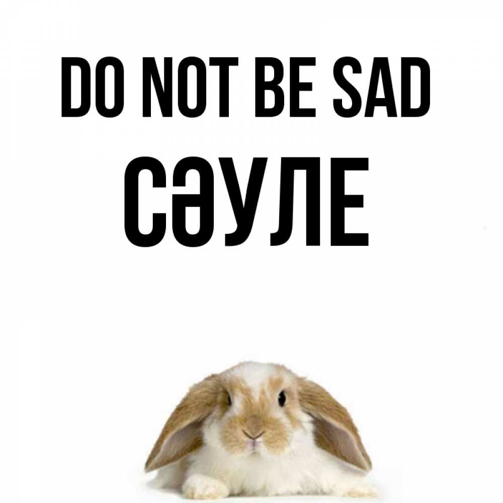 Greetings card с именем, СӘУЛЕ Do not be sad коричнево белый заяц с большими ушками Greetings with text for free download 